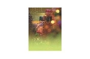 Nutcracker Label - 4 Left