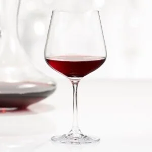 Splendido Red Wine Glass
