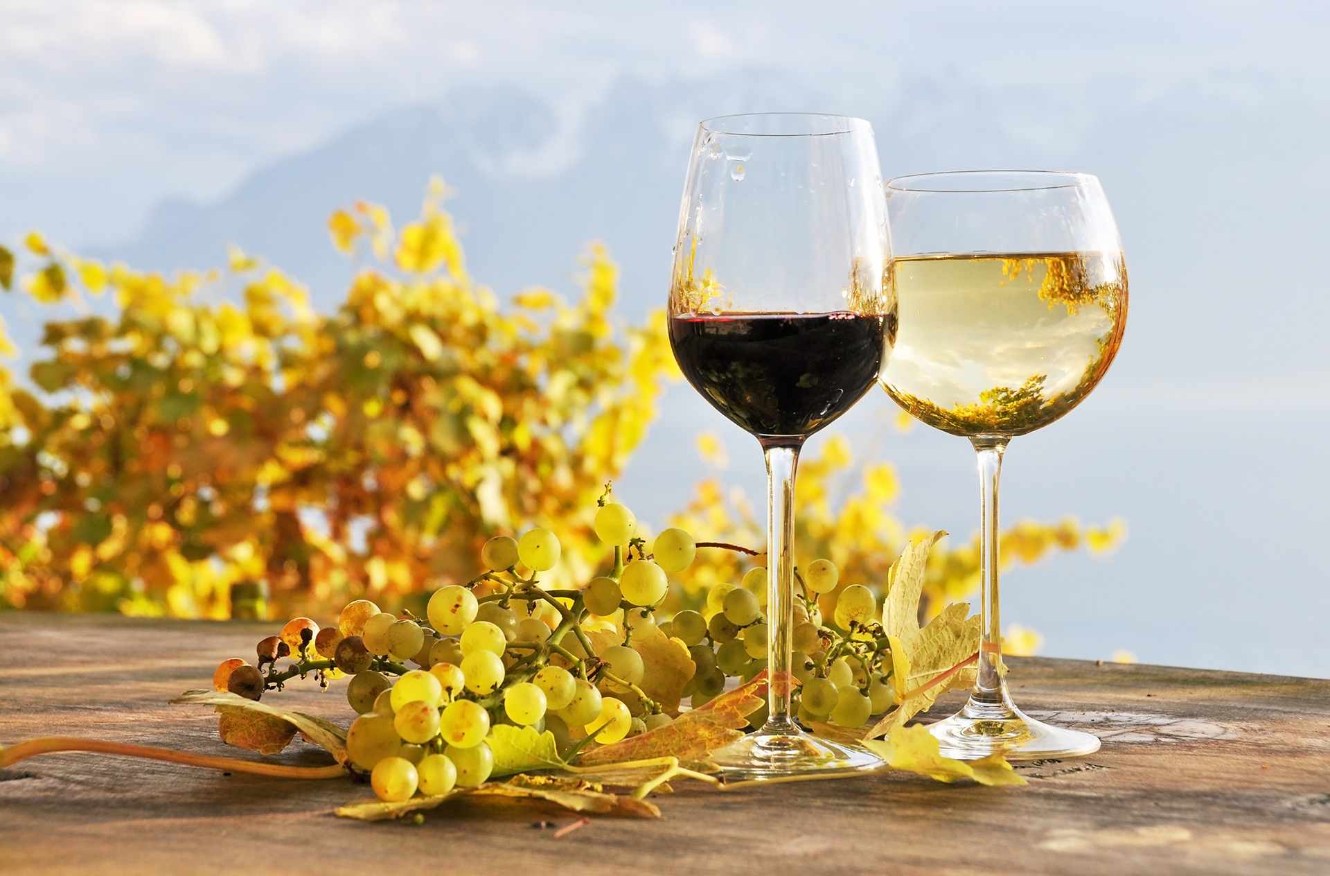 In-Store WineMaking Fall  Promotion